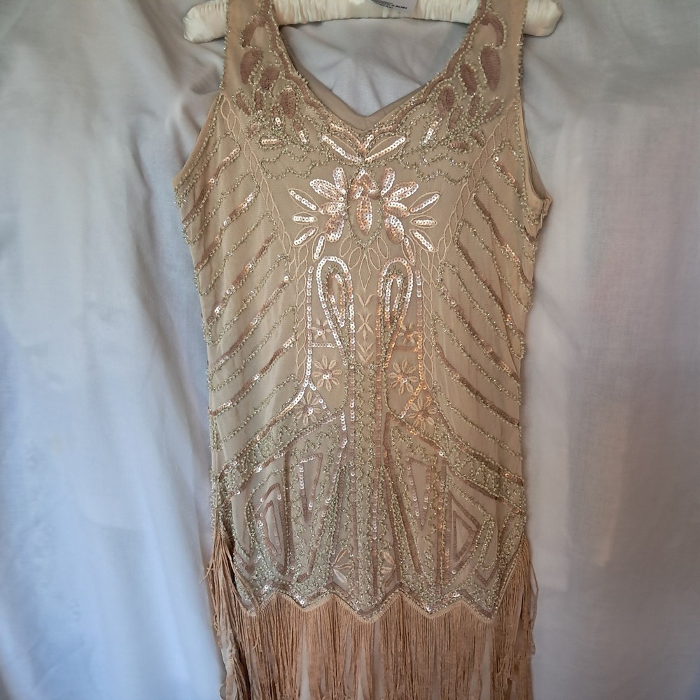 Gold Fringe Flapper Mini Dress - Vintage-Inspired Party Dress - Picture 6 of 9
